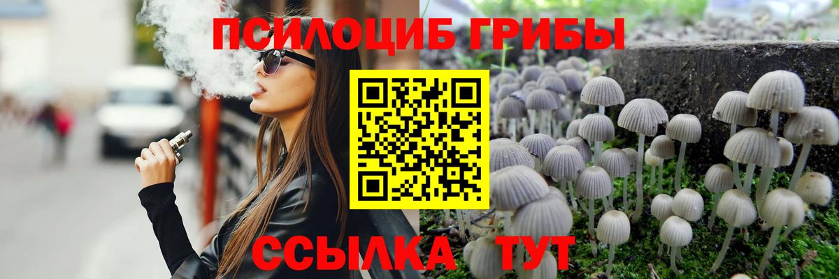 Псилоцибиновые грибы Cubensis Светлоград