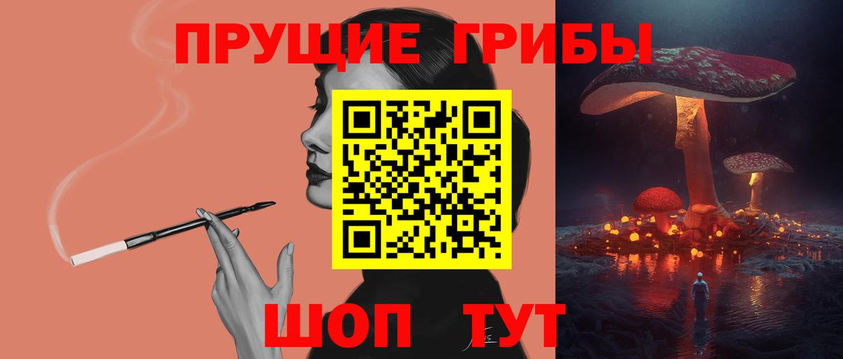 как найти   Галлюциногенные грибы Psilocybine cubensis  Галлюциногенные грибы мицелий  Вход с VPN  Светлоград 